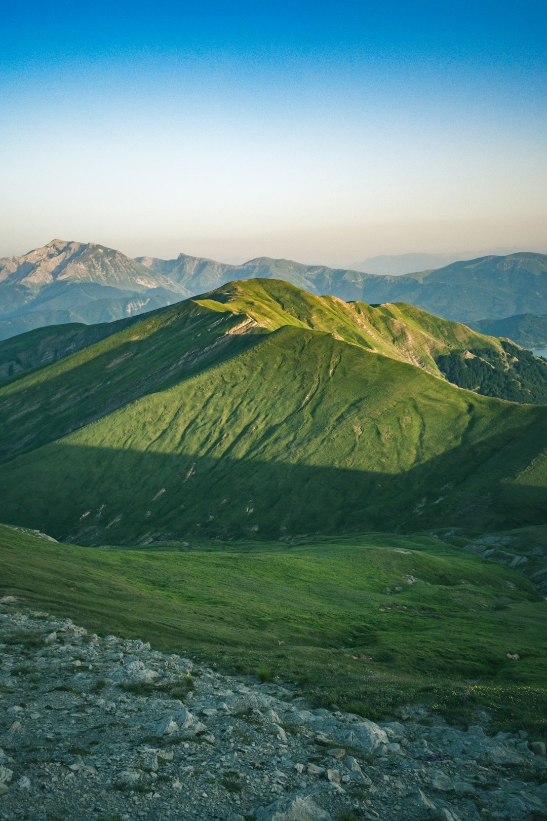 Cherry Blossom Season